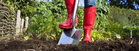 Red gumboots digging hole