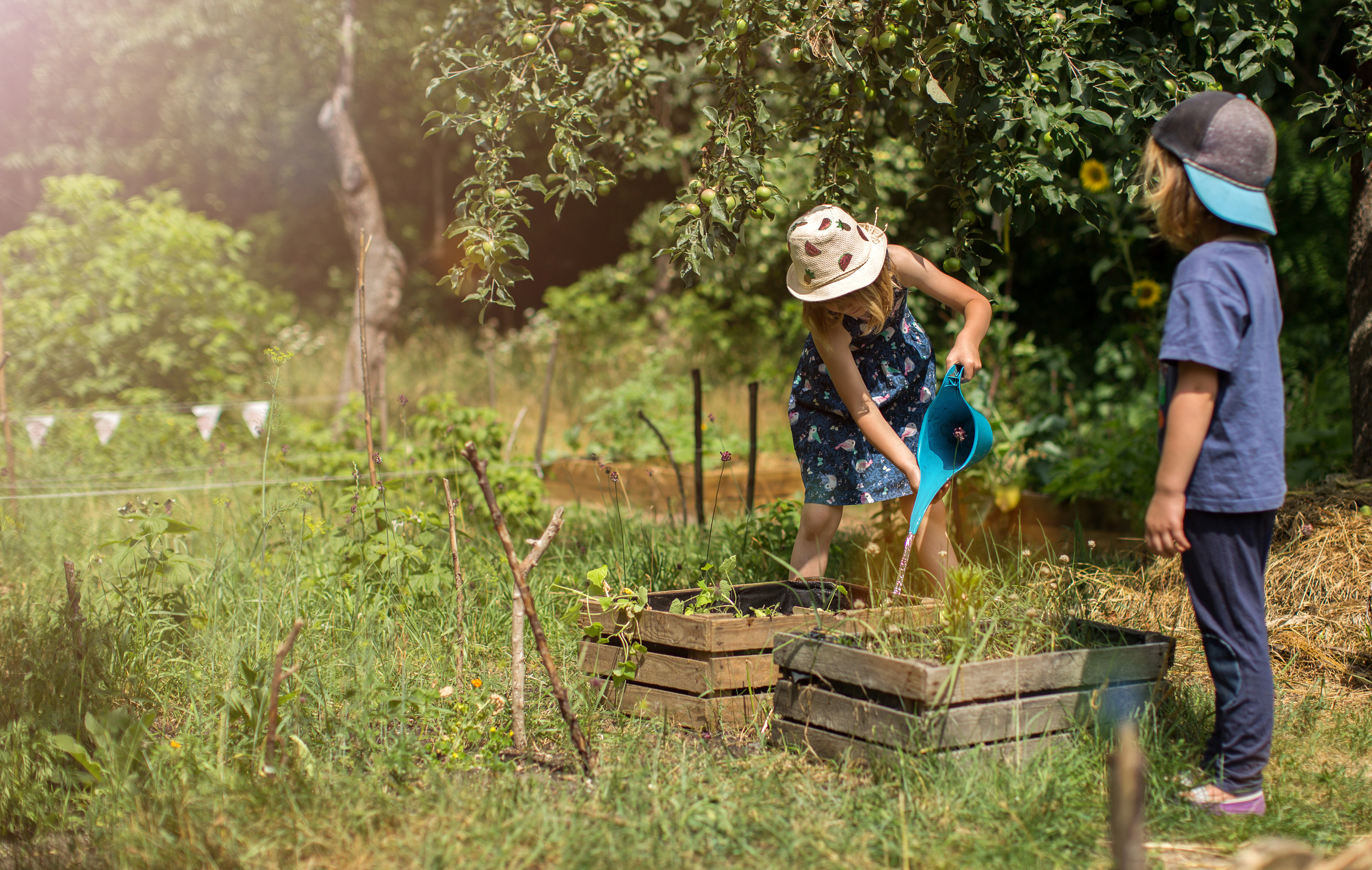 Children planting vegetables in the garden