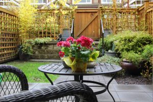 Small patio garden in early morning spring with a blooming primula on the table.